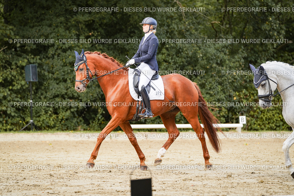 DSC02607 | Pferdegrafie