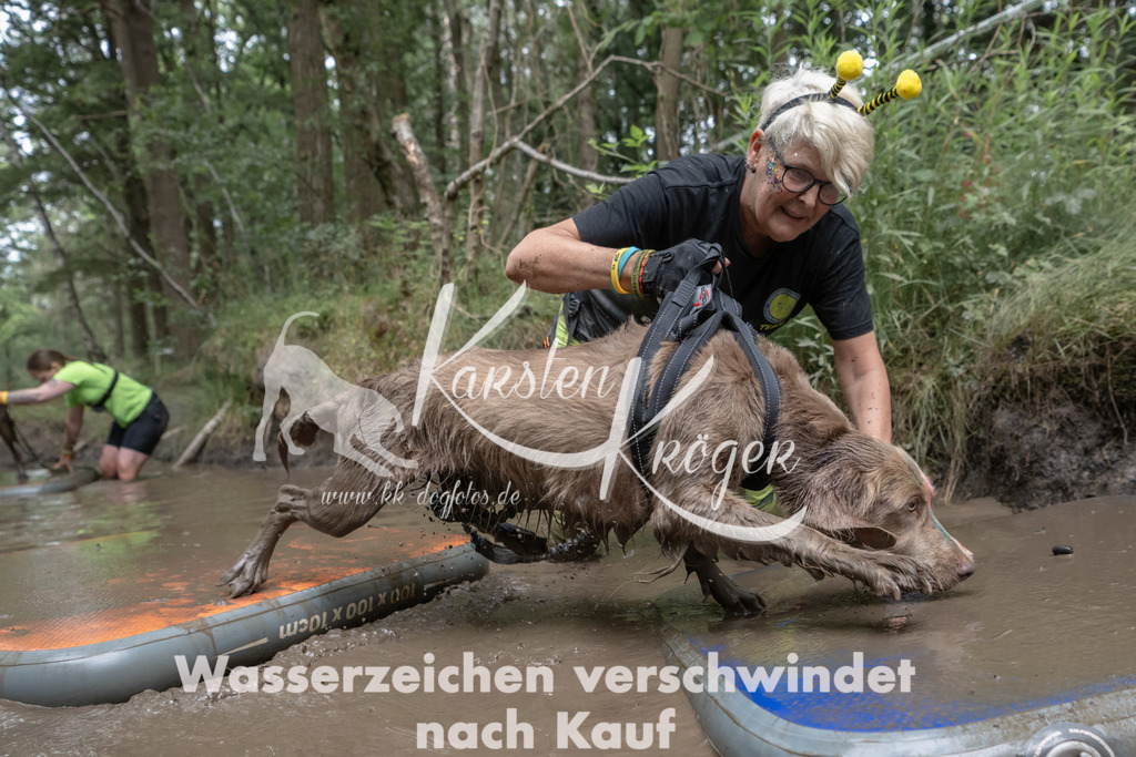 1339_ZZ95241 | kk-dogfotos