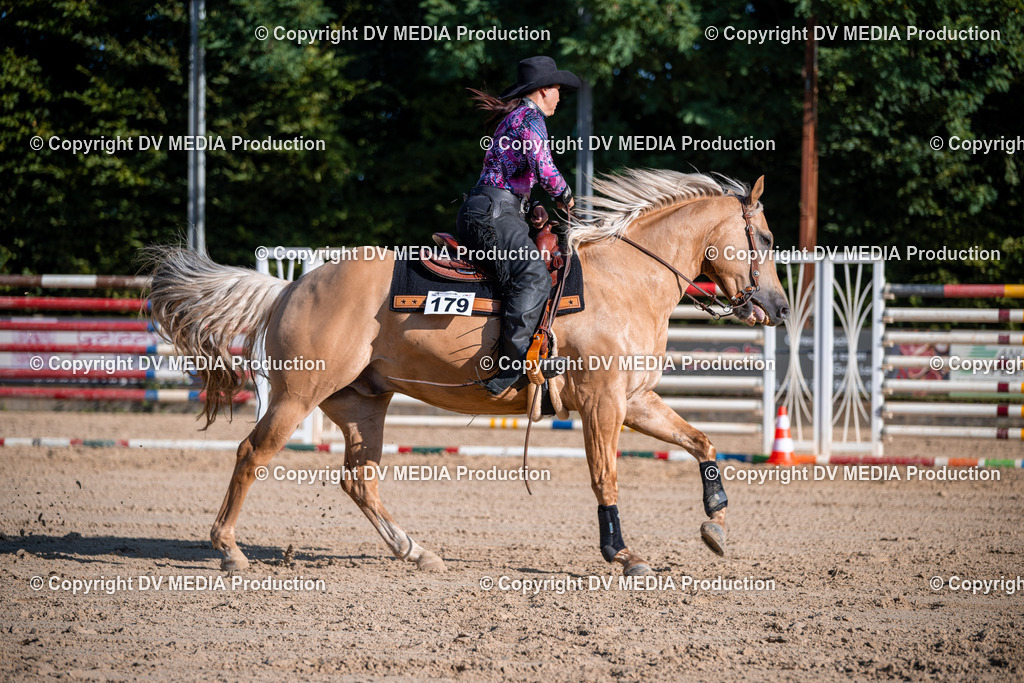 ZS1_0701 | dv-media-shop - Realisiert mit Pictrs.com