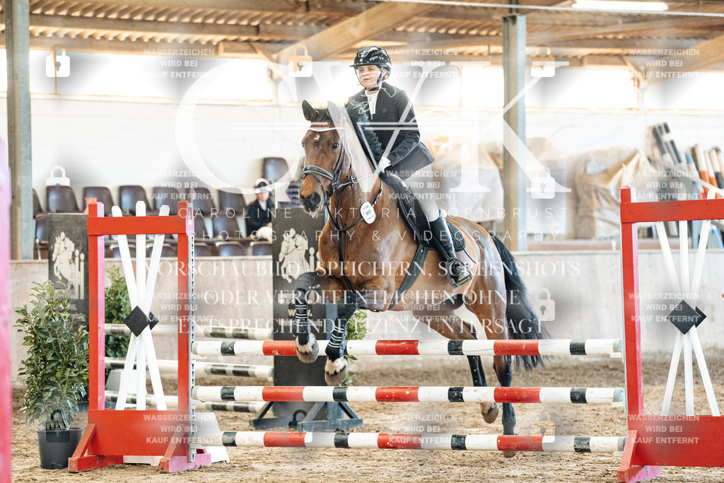 CK904783 | Turnierfotografie Pferdefotografie Trier Rheinland-Pfalz Pferdesport Reitsport Tierfotografie Sportfotografie Pferdevideo Pferdevideografie Equestrianvideography equestrianphotography  - Realized with Pictrs.com
