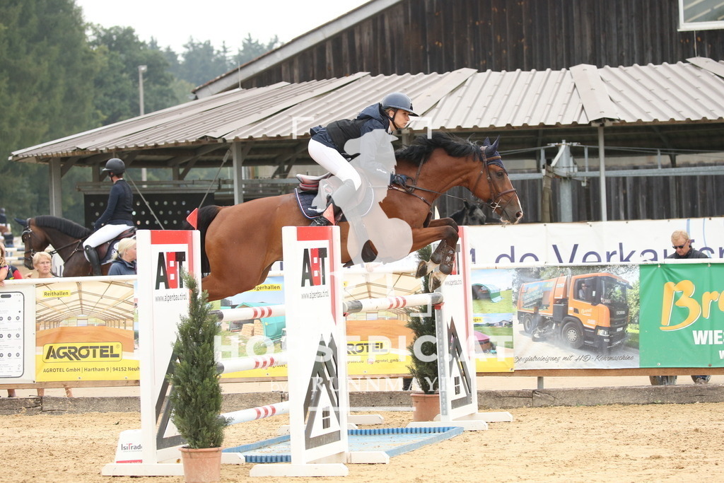 DL2Q6647 | Willkommen bei Brunnmayr - Design & Fotografie – Ihrem Spezialisten für Reitturniere und Pferdeveranstaltungen in Oberösterreich, Salzburg und Bayern! Seit über 17 Jahren sind wir leidenschaftlich dabei.