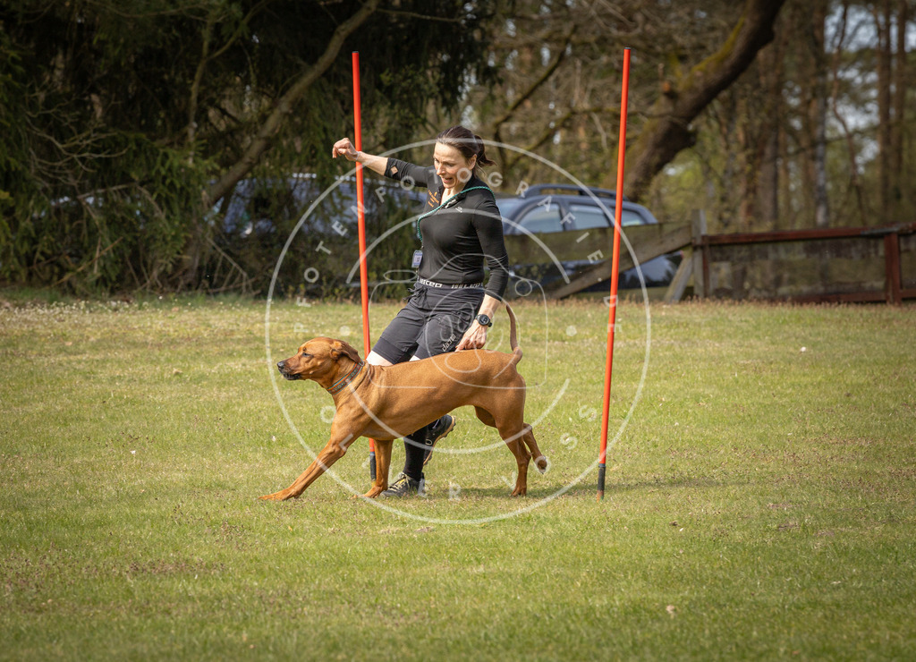 Pfotenfotografie_DV3A7117 | Hundefotografie, Tierfotograf, Pfotenfotografie, Fotoshooting Hund, Hunde Portrait, Hundesport, Hundeportraits, Heideshooting, Hunde, Sportfotograf, Hundefotograf, Turnierhundsport, THS,  - Realisiert mit Pictrs.com