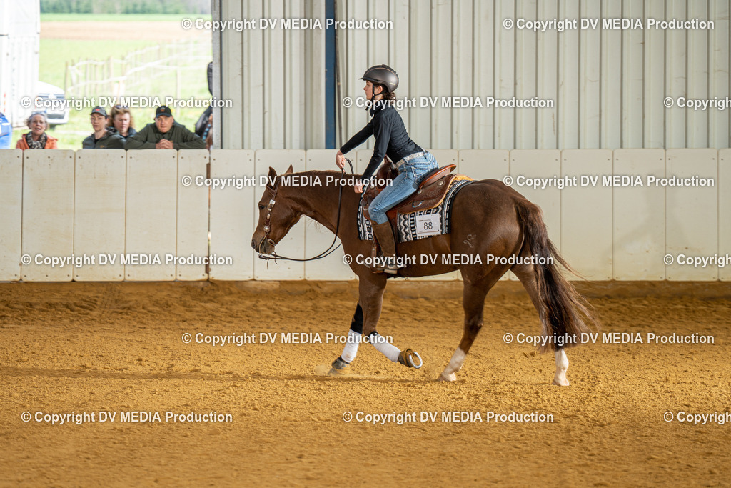 MIT00810 | dv-media-shop - Realisiert mit Pictrs.com