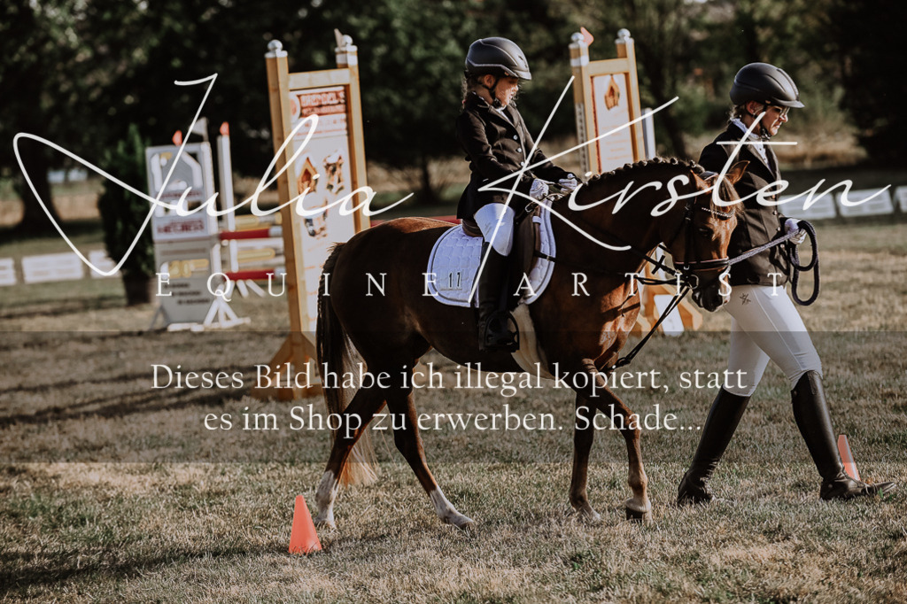 DSC_0101 | Pferde- und Turnierfotografie in Westsachsen. Pferdeportraits, Auftragszeichnungen und intuitive Kunst.