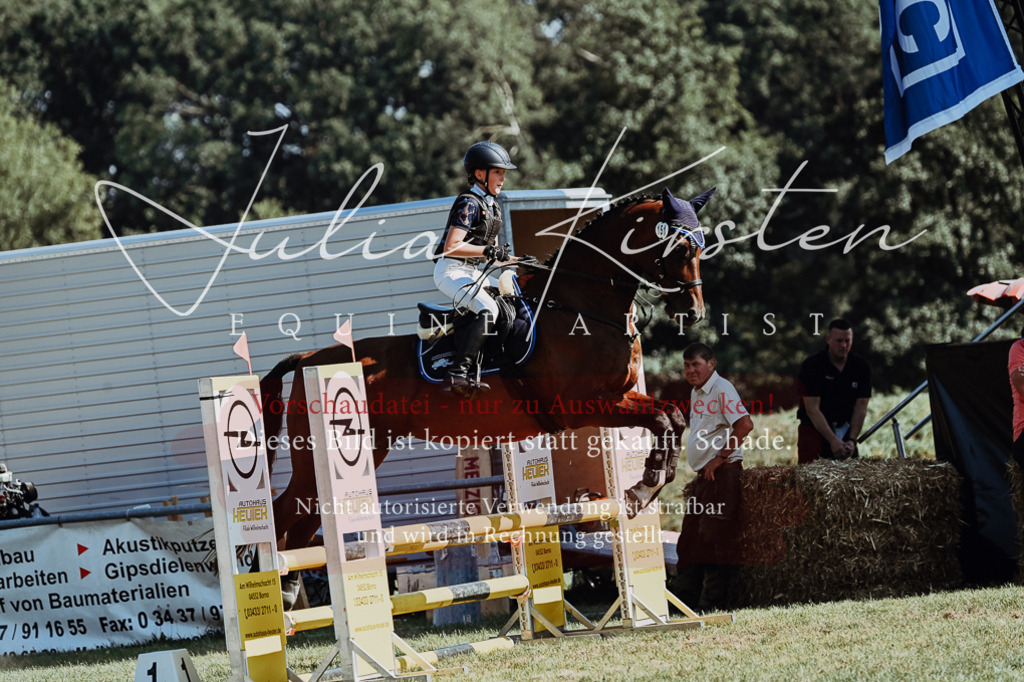 DSC_6596 | Pferde- und Turnierfotografie in Westsachsen. Pferdeportraits, Auftragszeichnungen und intuitive Kunst.