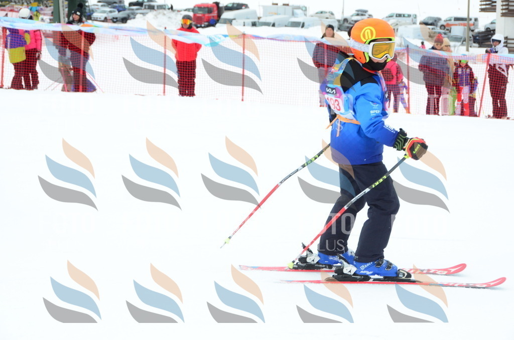 DSC_1786 | holidayphoto