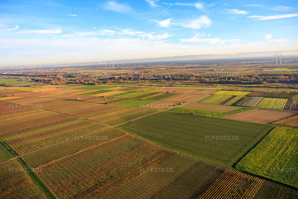 Luftbild: Felder und Weinberge beim Billigheimer Bruch im Ortsteil Mühlhofen in Billigheim-Ingenheim im Bundesland Rheinland-Pfalz in Deutschland. Foto: IMG_151021.jpg vom 05.11.2025 durch Werner Riehm/FLY-FOTO.de