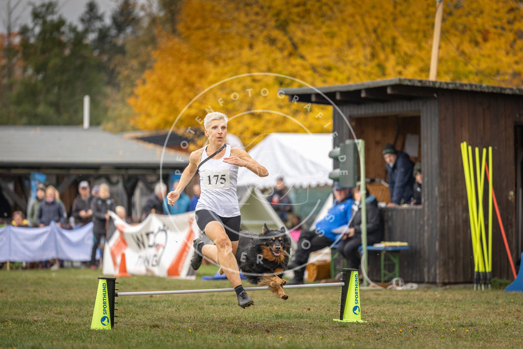 Pfotenfotografie_DV3A5422 | Hundefotografie, Tierfotograf, Pfotenfotografie, Fotoshooting Hund, Hunde Portrait, Hundesport, Hundeportraits, Heideshooting, Hunde, Sportfotograf, Hundefotograf, Turnierhundsport, THS,  - Realisiert mit Pictrs.com