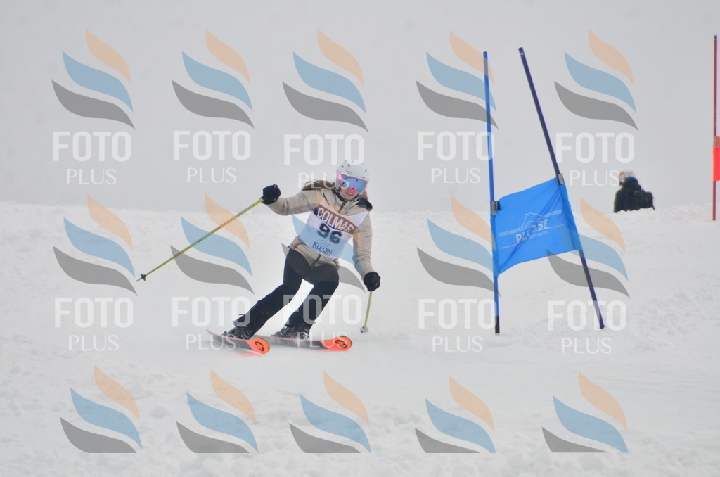 A5805 | holidayphoto