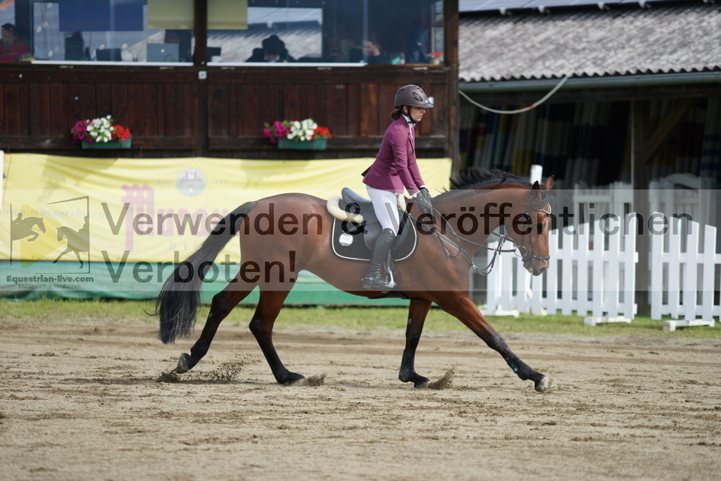 DSC04622 | equestrian-live-com