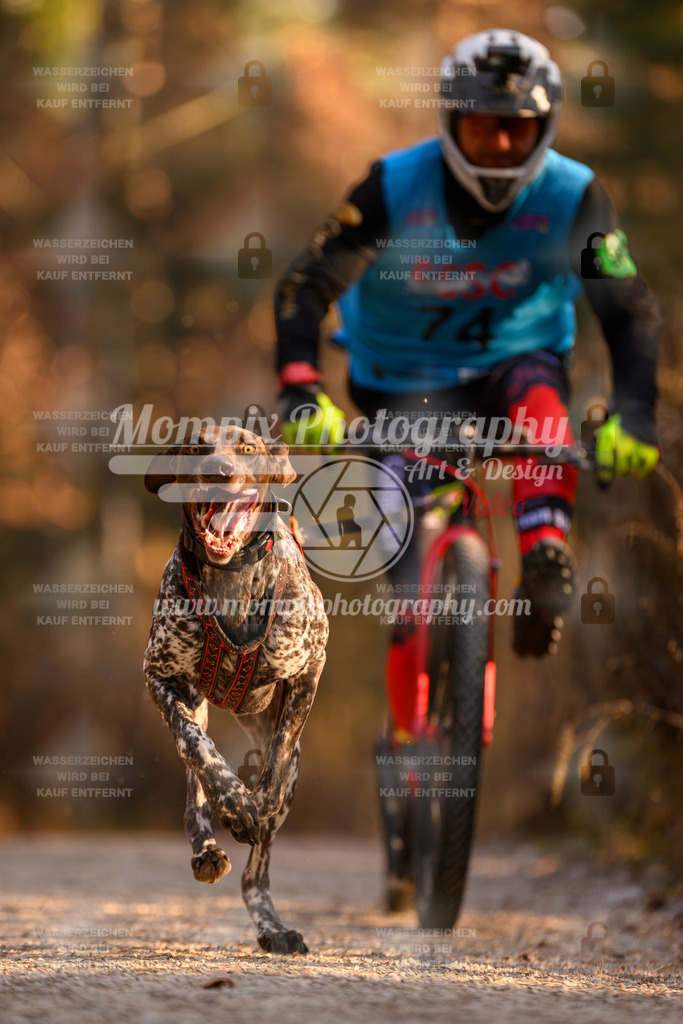 MompixPhotography_DM_AKDM_SO_2025_Scooter-151 | PayLife
