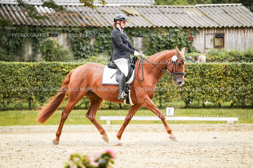 DSC08228 | Pferdegrafie