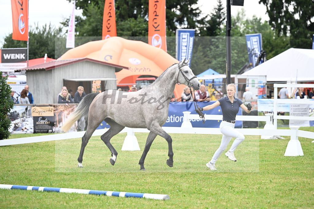 Kat-Nr. 20 Kalea B v. Vingino_Bachl_30250389 | hf-fotografie - Realizzato con Pictrs.com