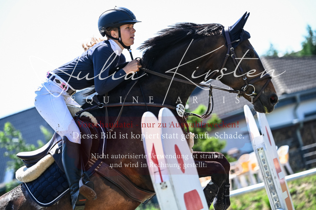 DSC_1314 | Pferde- und Turnierfotografie in Westsachsen. Pferdeportraits, Auftragszeichnungen und intuitive Kunst.