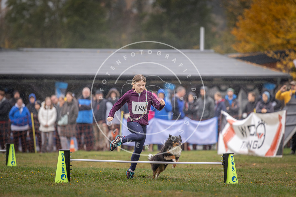 Pfotenfotografie_DV3A9833 | Hundefotografie, Tierfotograf, Pfotenfotografie, Fotoshooting Hund, Hunde Portrait, Hundesport, Hundeportraits, Heideshooting, Hunde, Sportfotograf, Hundefotograf, Turnierhundsport, THS,  - Realisiert mit Pictrs.com