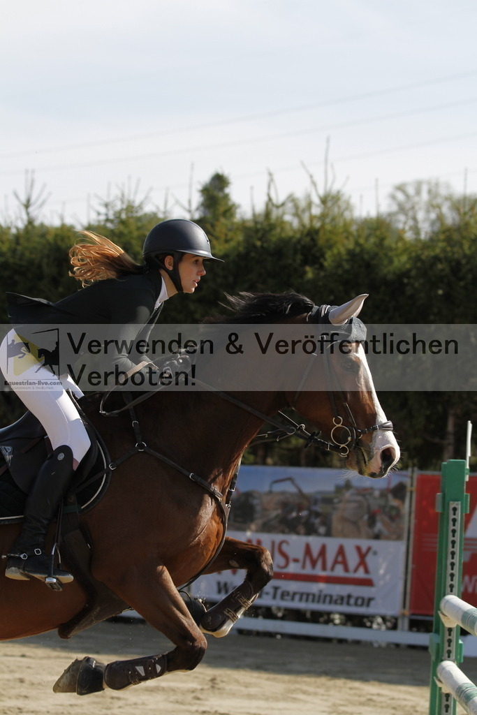 _MG_9255 | equestrian-live-com