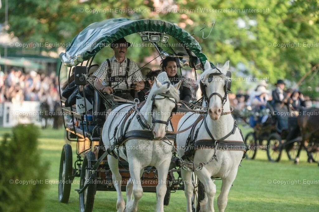 20230526_Pferdenacht_0155 | equistock