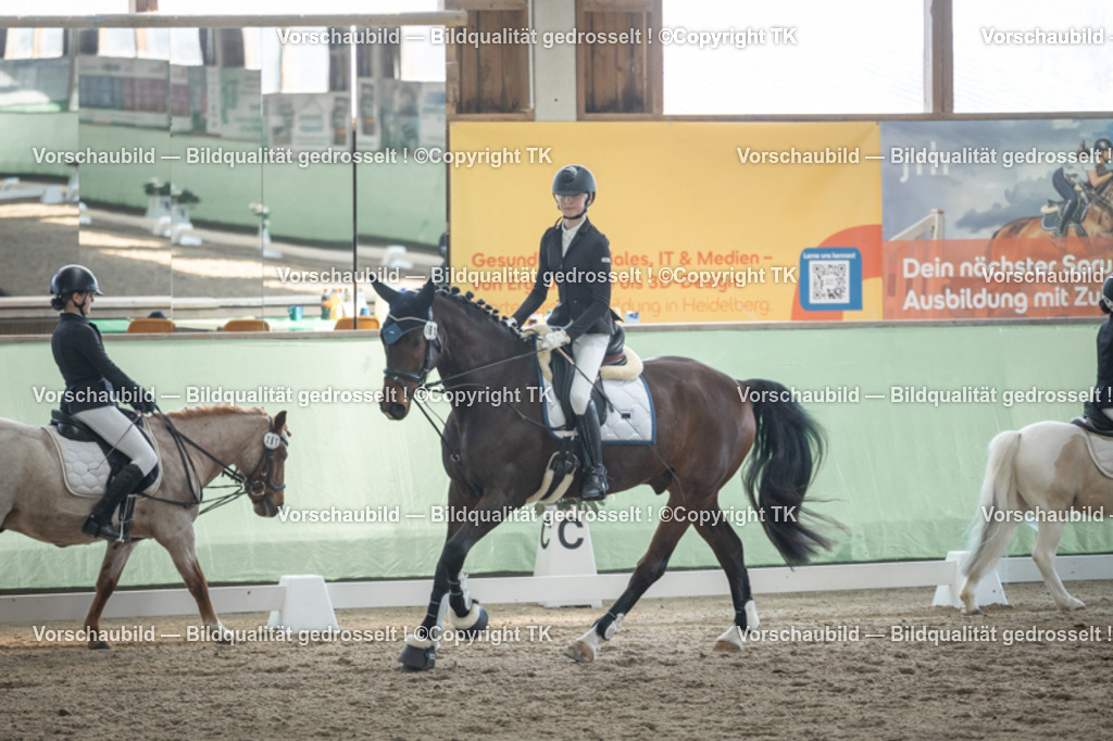 _D5A8724 | Emotionale Pferde- & People-Fotografie rund um Heidelberg, Leimen & Umgebung. Natürliche Fotos von Pferd, Mensch & Familie. Jetzt Termin sichern!