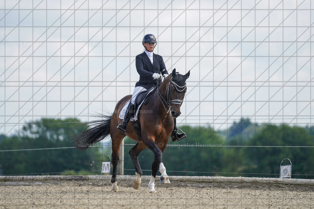 20230826-FAH05729 | Forstinning, 2023, Dressurturnier, Turniersportbilder, Turnierfotografen Bayern, Fotoagentur Herrmann, Reitsportfotografie, Turnierbilder