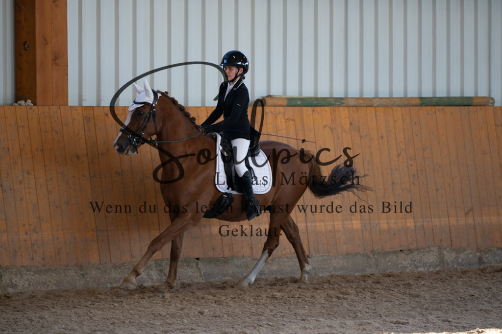 A7V01715 | Turnier/Reitfotograf