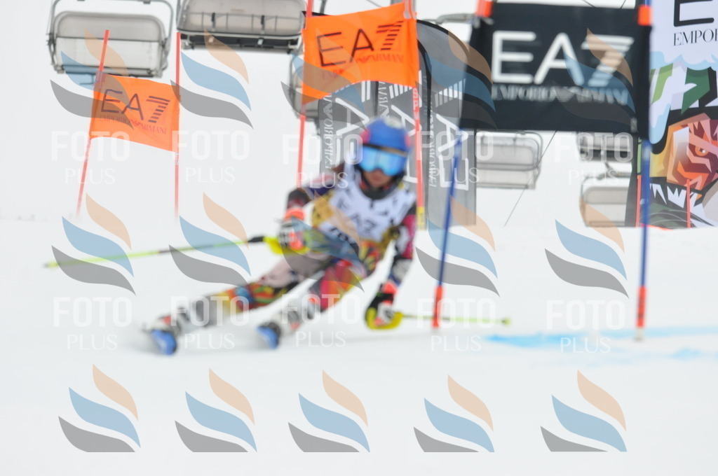 DSC_8689 | holidayphoto