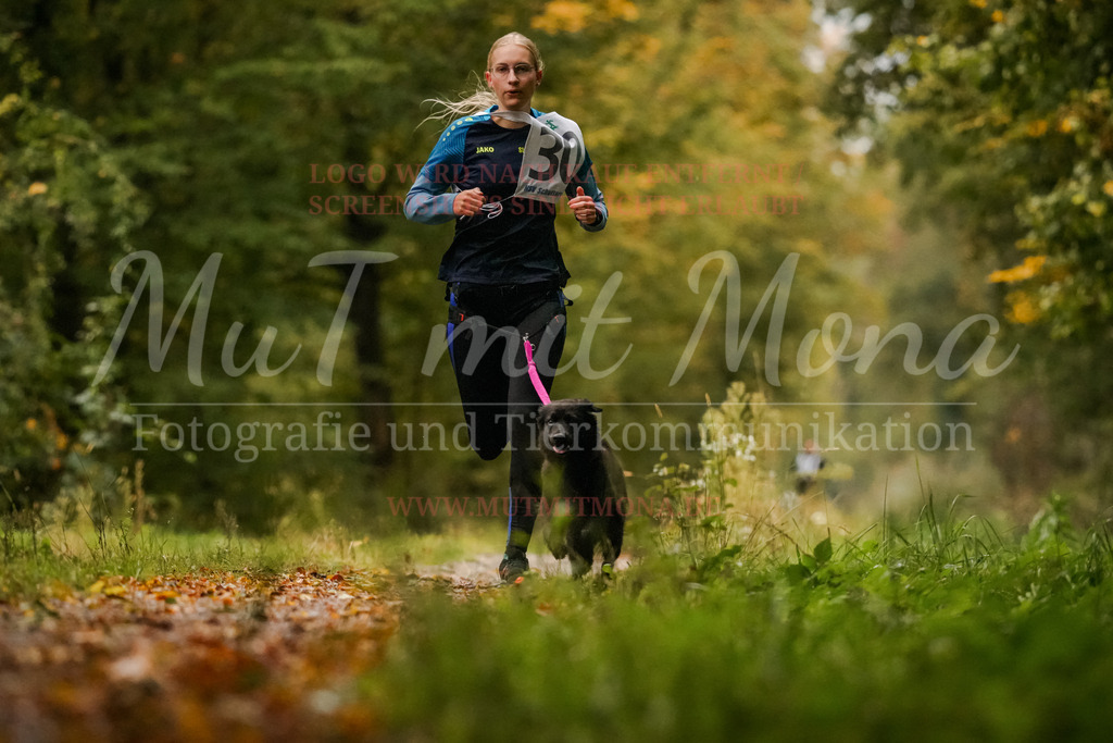 20251005_THS_Turnier-16 | MuT (Mensch und Tier) mit Mona - Fotografie und Tierkommunikation - Realisiert mit Pictrs.com