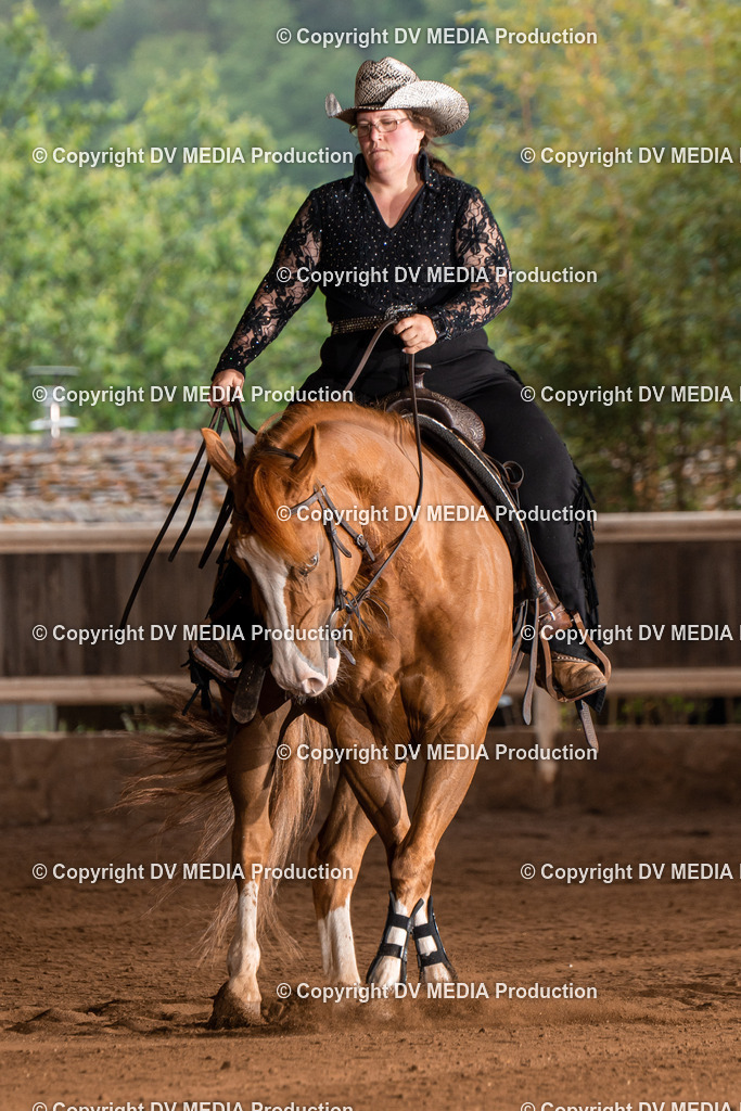 Erbach Tag 2-984 | dv-media-shop - Realisiert mit Pictrs.com