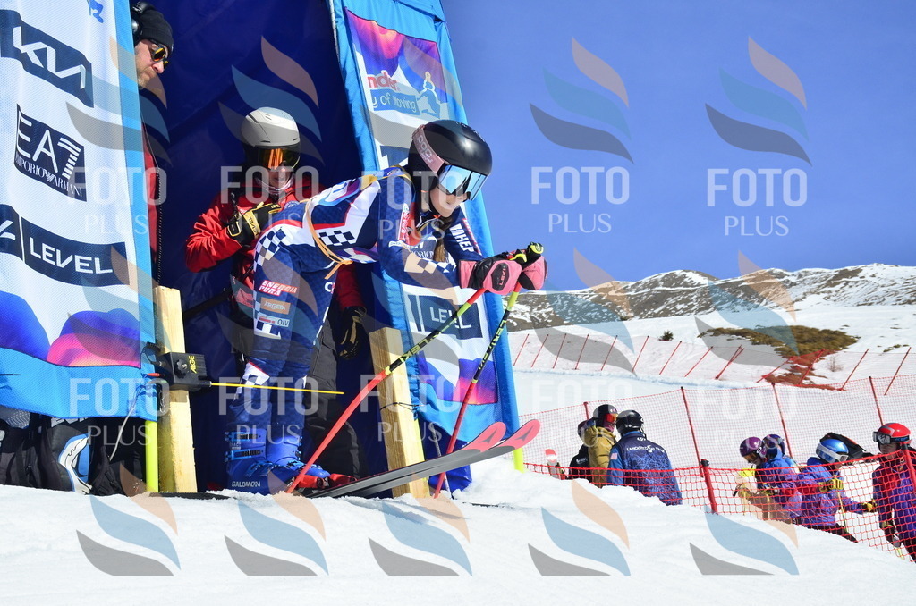 _ELE9979 | holidayphoto