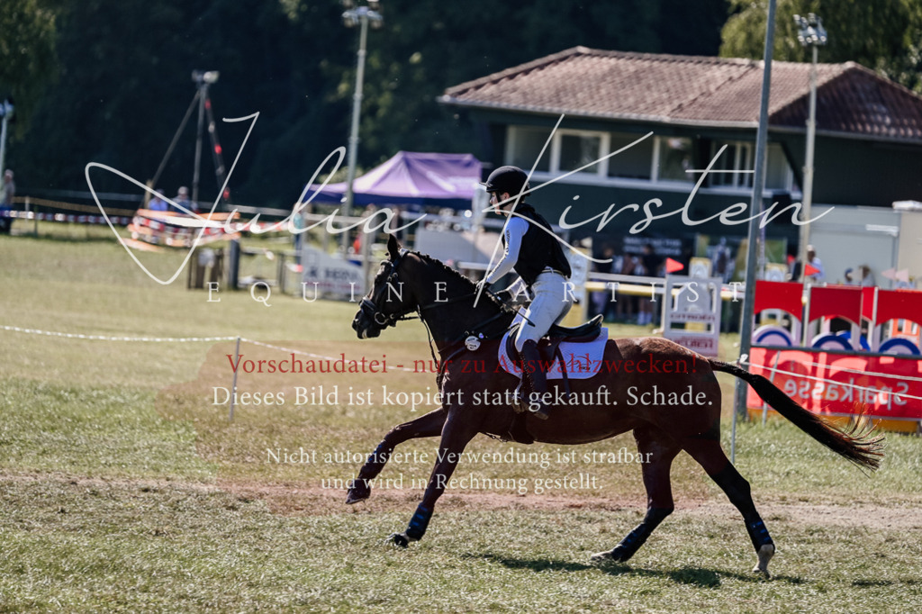 DSC_2762 | Pferde- und Turnierfotografie in Westsachsen. Pferdeportraits, Auftragszeichnungen und intuitive Kunst.