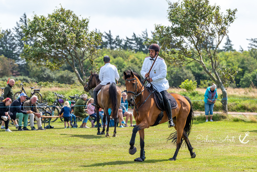 EAF_7209 | Eilun-Art-Fotografie Levke Martens, ihre Fotografin für Immobilien- und Landschaftsfotografie auf Föhr, Föhrer Motive als Poster, Leinwand, hinter Acrylglas oder stelle dir deinen eigenen Monatskalender zusammen, mit nur einem Klick