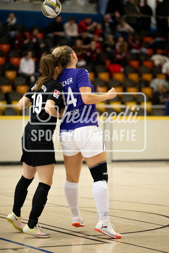 Fußball I Frauen I 2026 I Hallenkreismeisterschaft der Frauen-311 | realhellocedii - Realisiert mit Pictrs.com