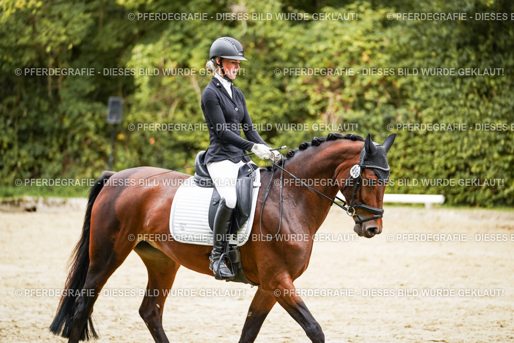 DSC00340 | Pferdegrafie