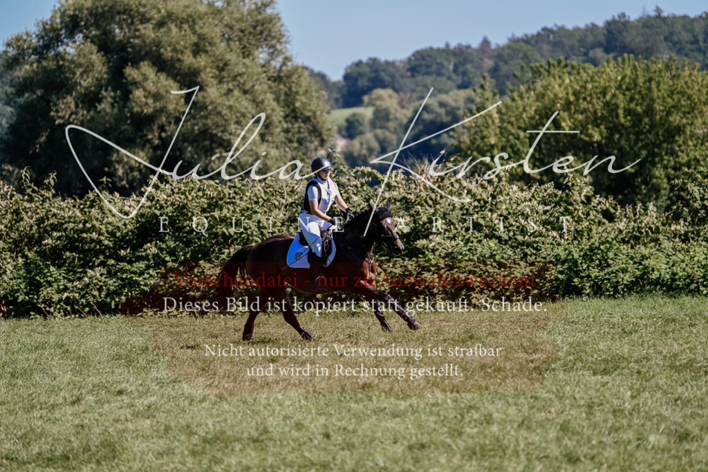 DSC_1520 | Pferde- und Turnierfotografie in Westsachsen. Pferdeportraits, Auftragszeichnungen und intuitive Kunst.