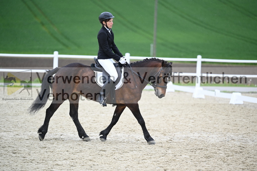 DSC_0215 | equestrian-live-com