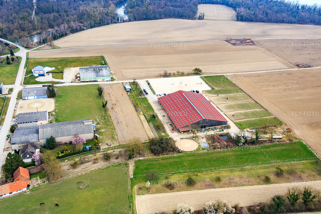 Vue aérienne: Écurie Schweykart à Stattmatten dans le département Bas Rhin, France – .Photo: IMG_086635.jpg prise le 19/03/2016 par Werner Riehm/FLY-FOTO.eu – Résolution de l'original: 4730 x 3153 px