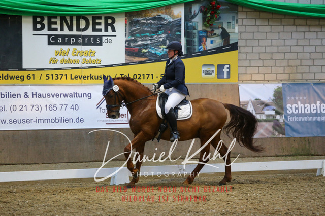 IMG_2703 | Turnierfotos kaufen im Webshop von Daniel Kuhl Photography – entdecke professionelle Reitsportfotos aus Turnieren & Events. Hochwertige Turnierbilder online bestellen & sichern. Jetzt Fotos von Reitsportturnieren kaufen!