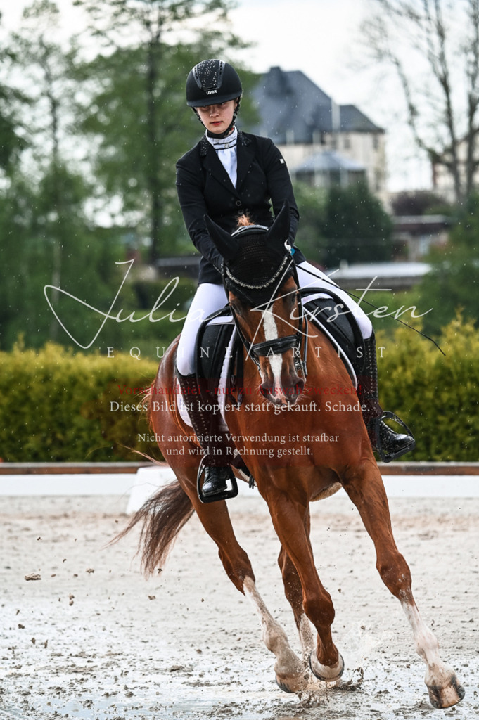 DSC_4314 | Pferde- und Turnierfotografie in Westsachsen. Pferdeportraits, Auftragszeichnungen und intuitive Kunst.