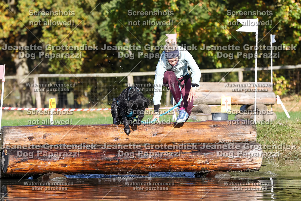 Dog Paparazzi - Strongdog 10-25-8709 | Dog Paparazzi Jeanette Grottendiek Fotografie & Videografie - Realisiert mit Pictrs.com