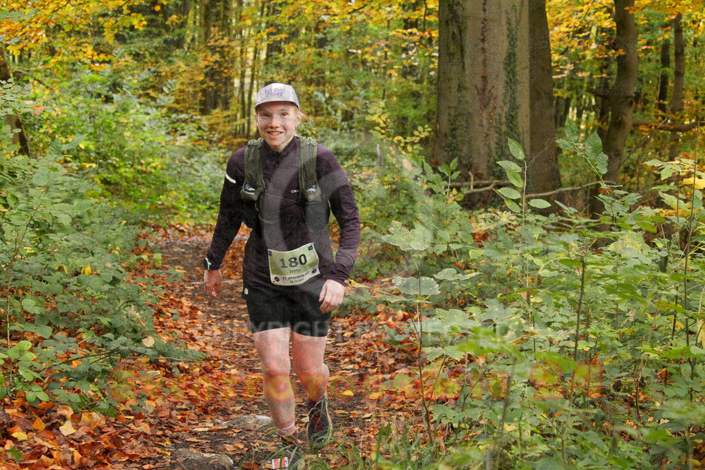 251026_1245_EV4_5750 | Sportfotografie im Rhein-Sieg Kreis, Köln, Bonn, NRW, Rheinland Pfalz, Hessen, etc. Unser Tätigkeitsfeld umfasst den Laufsport vom Volkslauf über den Marathon, Duathlon, Triathon bis zum Ultralauf wie Kölnpfad Ultra oder Schindertrail.