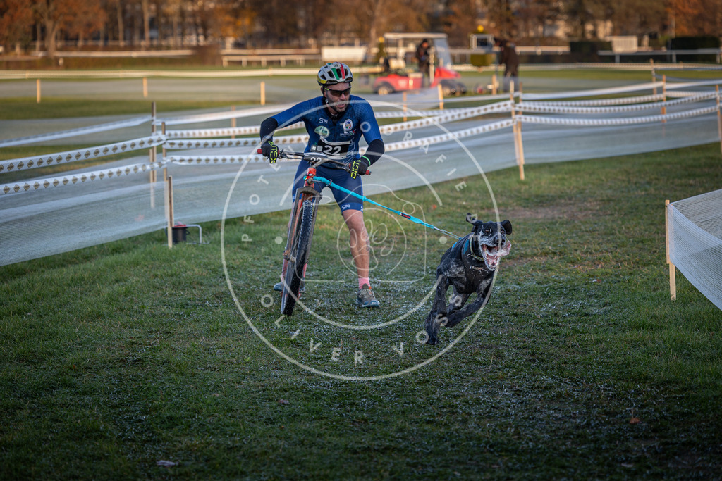 CaniXpix_0L8A1654 | Hundefotografie, Tierfotograf, Pfotenfotografie, Fotoshooting Hund, Hunde Portrait, Hundesport, Hundeportraits, Heideshooting, Hunde, Sportfotograf, Hundefotograf, Turnierhundsport, THS,  - Realisiert mit Pictrs.com