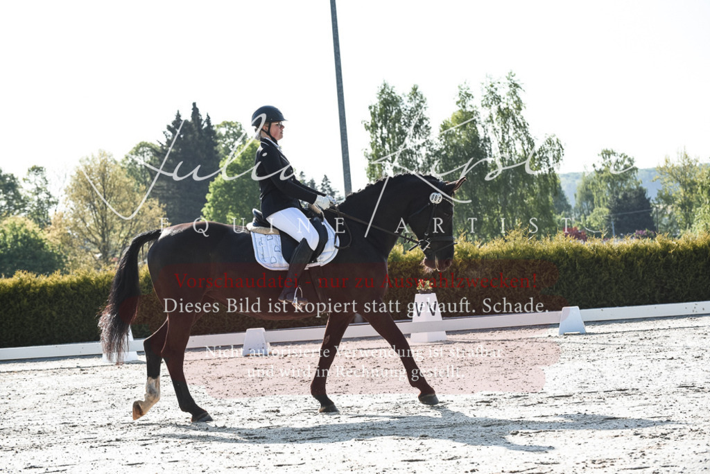 20230518_JK-Röhrsdorf-09-0629 | Pferde- und Turnierfotografie in Westsachsen. Pferdeportraits, Auftragszeichnungen und intuitive Kunst.