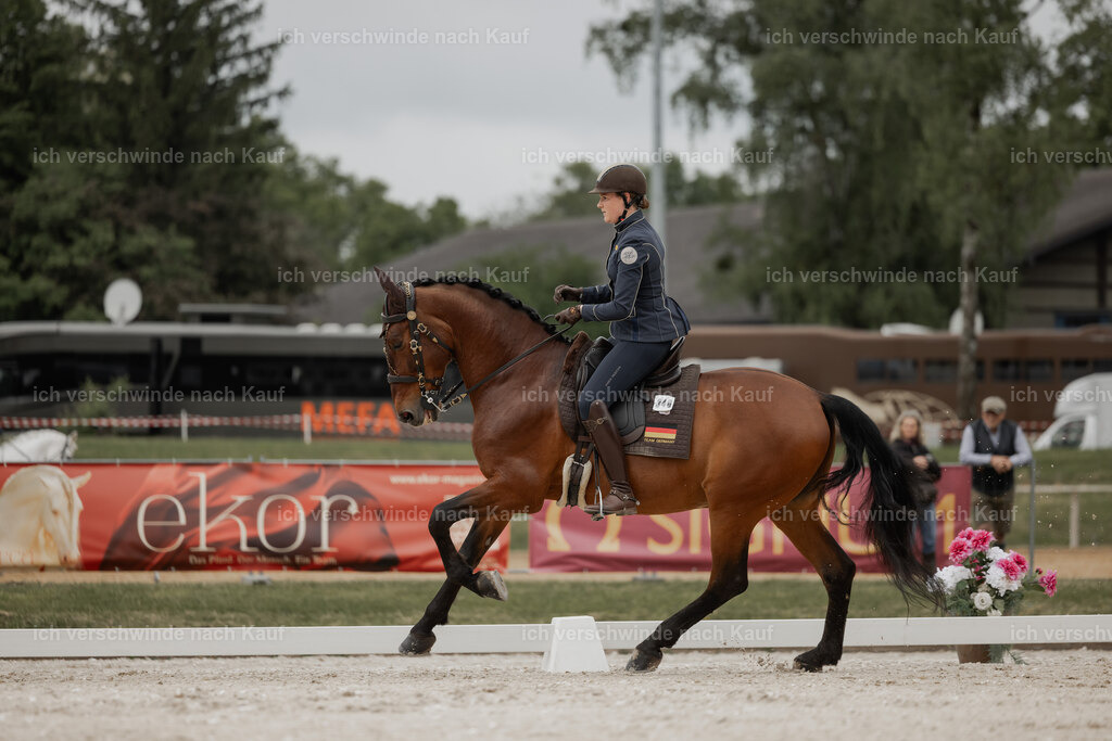 WE_DR_Stoib_340_ _PI2025_116 | Pferd International München 2025