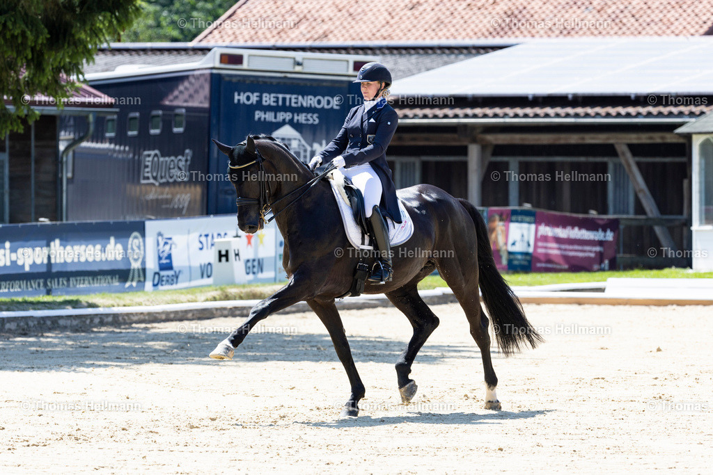 TH_117 Don Domingo 7 (FIN) Emma KANERVA_9586 | Bettenröder Dressurtage 2023 am 08.07.23 in Bettenrode, Thomas Hellmann, 117 Don Domingo 7 (FIN) Emma KANERVA