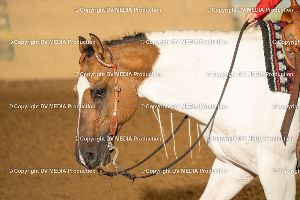 LAU00701 | dv-media-shop - Realisiert mit Pictrs.com