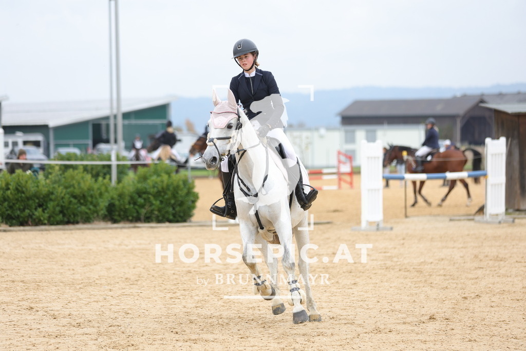 0P6A2368 | Willkommen bei Brunnmayr - Design & Fotografie – Ihrem Spezialisten für Reitturniere und Pferdeveranstaltungen in Oberösterreich, Salzburg und Bayern! Seit über 17 Jahren sind wir leidenschaftlich dabei.