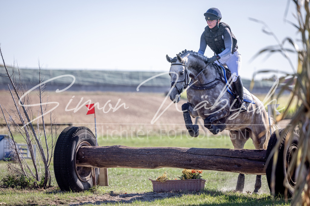 20260906-_3LI2138 | Tierfotografie Pferde, Hunde, Katzen, Haustiere.
Turnierfotografie Reitturniere, Reiten, Springreiten, Dressur in Hanau, dem Main-Kinzig-Kreis und dem Rhein-Main- Gebiet um Frankfurt