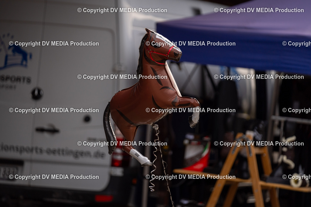 Springen Tag 3-431 | dv-media-shop - Realisiert mit Pictrs.com