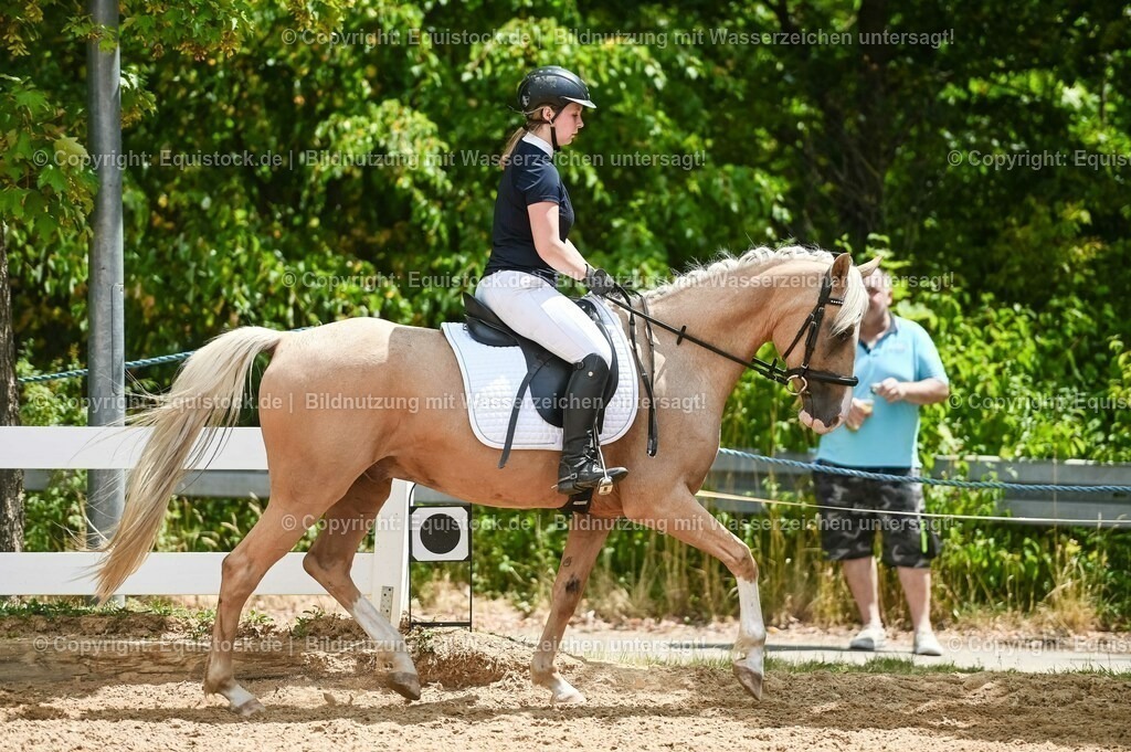 20230715_09_Dressur-WB_0512 | equistock