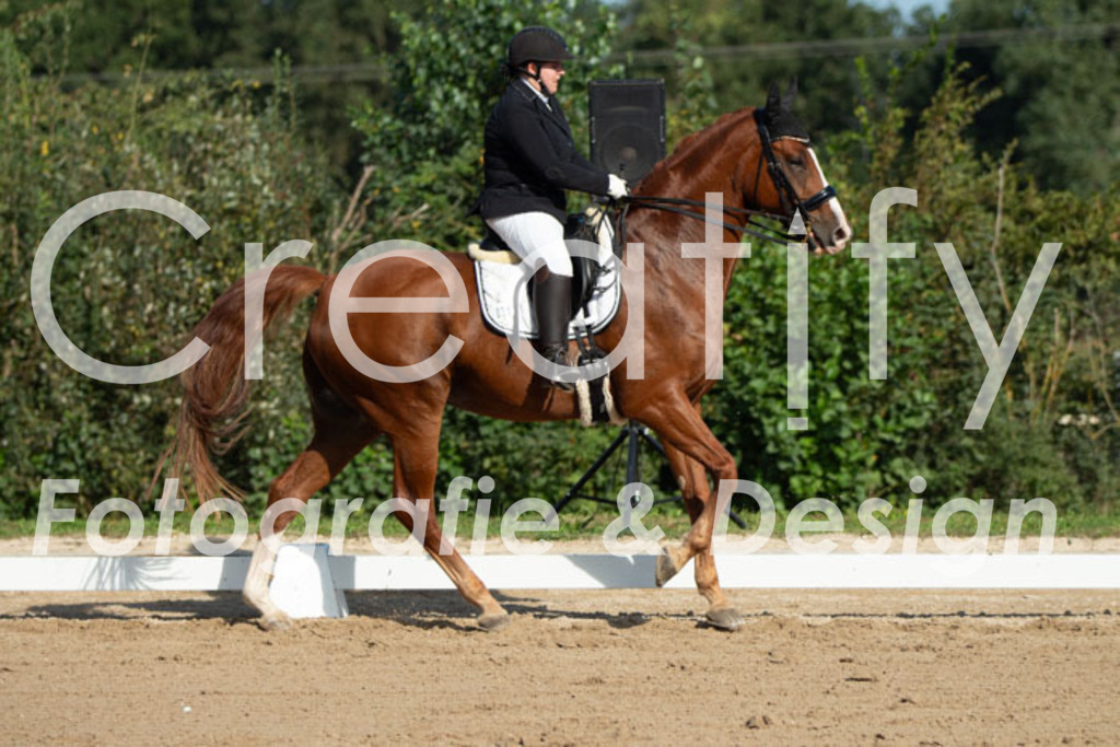 IMG_0428 | Creatify Fotografie