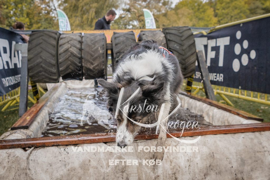 1500_ZZ90923 | kk-dogfotos